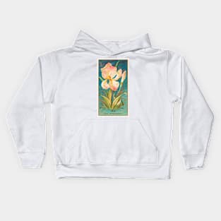 Iris (Iris Germanica) Kids Hoodie